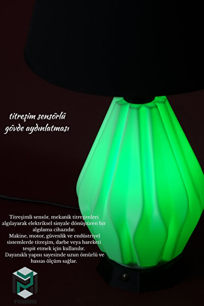 PAYİDAR MODEL Payidar Modern Design Black Hat Lampshade White Body