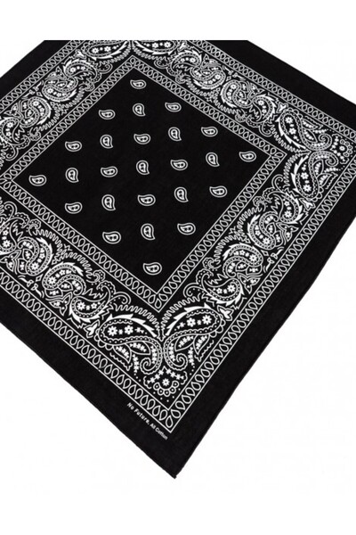 No Future Sinaloa Paisley Bandana Nf0564Sy
