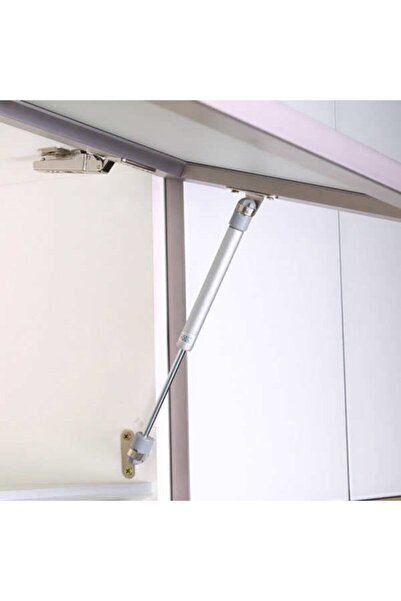 Genel Markalar TAYEM Dolap Gazlı Piston (2 Adet )