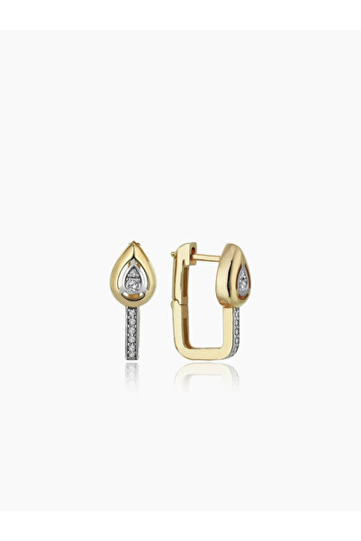 Asteria Jewelry Detailed Charm Vip Earrings