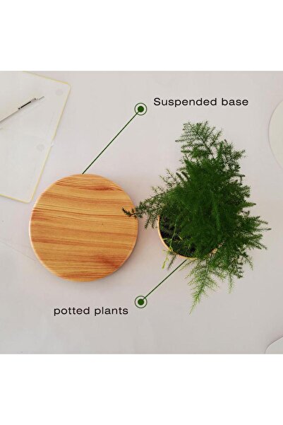 Generic Magnetic Floating Plant Pot with Wooden Base