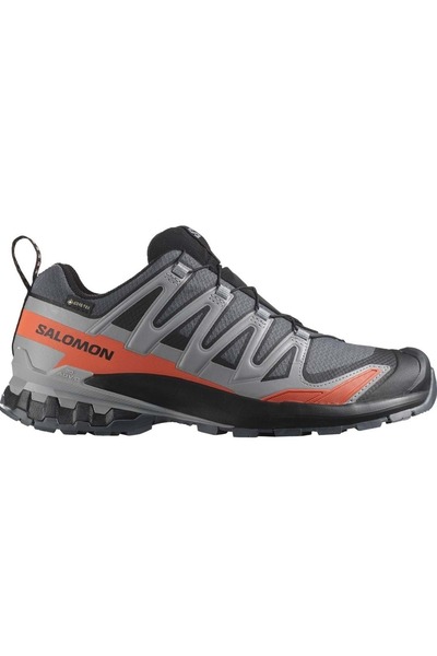 Salomon Xa Pro 3D V9 Gore-Tex Grau Herren Outdoor-Schuhe L47817500