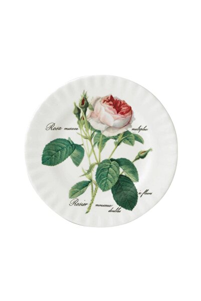 Roy Kirkham Redoute Rose Pasta Plate 20Cm-Single