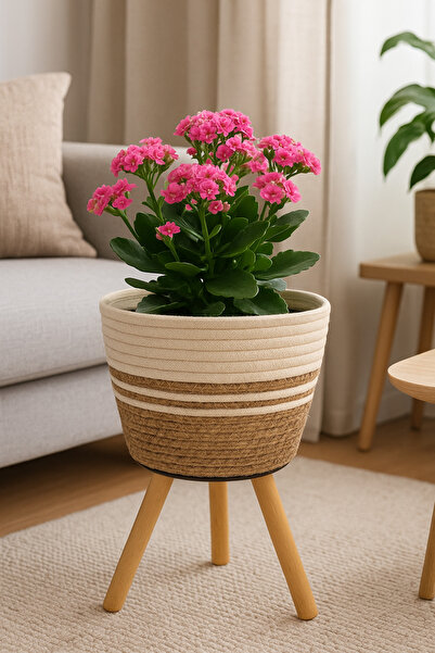 ADA Ahşap oyma ve çerçevecilik Hasır Saksı Ahşap Ayaklı 18cm