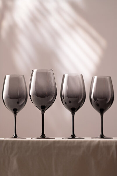 Rakle Larc 4'lü Su Kadehi Seti Füme 540 cc