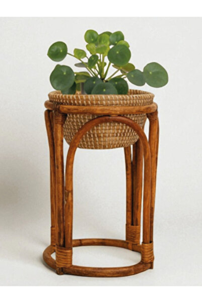 Lo Fi House Sable Fat Rattan Saksılık