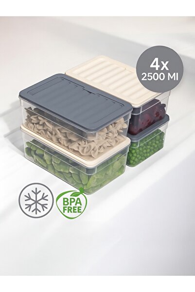 Nesto Home 2500 ml Refrigerator - Set of 4 Deep Color Organizer, Freezer and Microwave Storage Container 4X2500