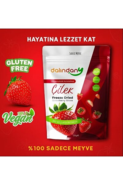 Dalindany Freeze Dried Dondurularak Kurutulmuş Çilek Dilimleri 20 Gram