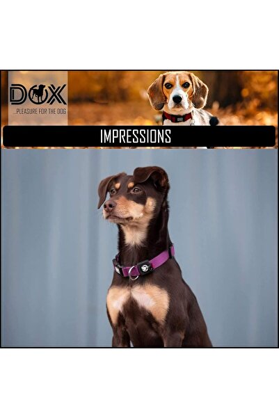 DDOXX Adjustable pet collar XS – 21-30 cm, reflective nylon, buckle with clasp