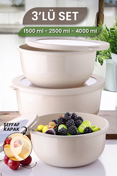 MYBOX Set of 3 Ayza Refrigerator Organizer Badya Microwave and Freezer Multi-Purpose Storage Container 1.5-2.5-4 L
