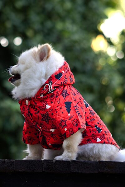 Hype Store Verlina Yılbaşına Özel Kırmızı Köpek Montu - Rahat Köpek Kıyafeti ...