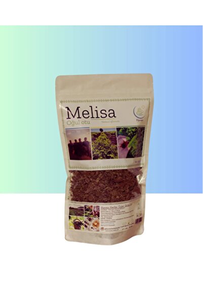 Haven Herbs & Blends Melisa (Oğul otu) Melissa officinalis 50 gr | 100% Doğal...