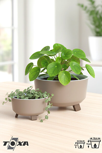 ToXA 2li Orbita Saksı Seti Süzgeçli Ayaklı Delikli Plastik Aranjman Sukulent ...