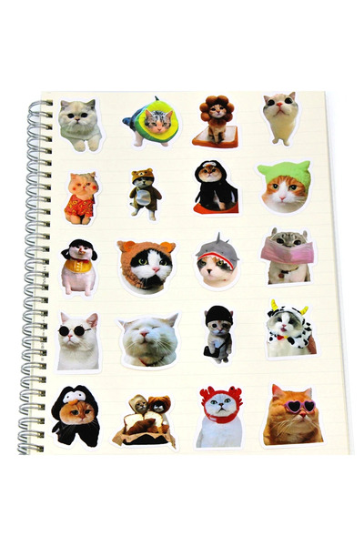 Choice 10 قطع عشوائية من ملصقات القطط المضحكة، ملصقات كرتونية لطيفة، قرطاسية، جيتار، هاتف، دراجة، كمبيوتر محمول