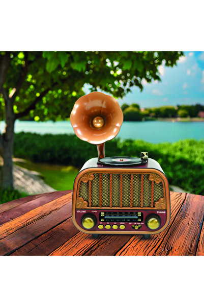 Torima D76 Dark Wood Wireless Speaker