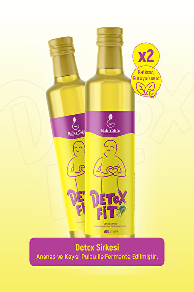 Bab-ı Şifa DetoxFit 500ml 2'li Paket Ananas, Yeşil Çay ve Kaktüs Özlü Doğal D...