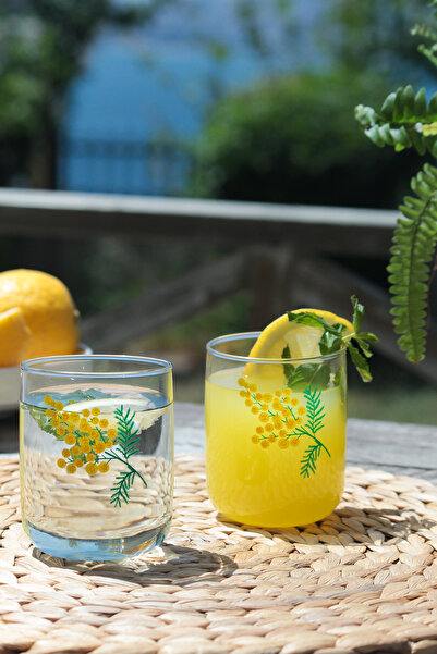 Rakle Mimoza 4'lü Su Bardağı Seti 280 cc