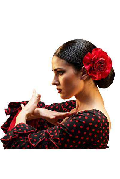 woodycord Kırmızı Gül Klips Toka Zariflik ve Güzelliğin Buluştuğu Nokta