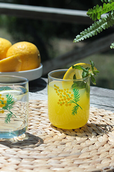 Rakle Mimoza 4'lü Su Bardağı Seti 280 cc