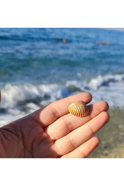 Atölye Myth Seashell Gold Mini Handmade Earrings