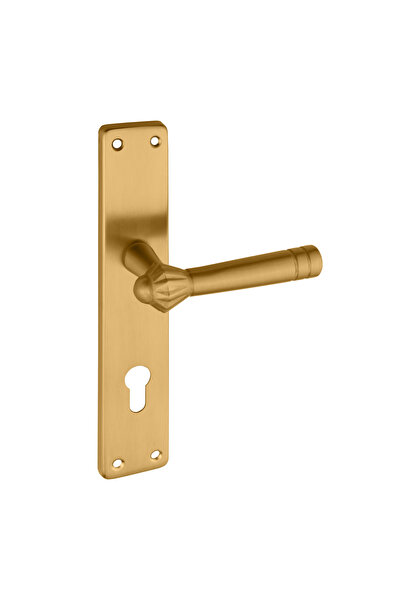 zerafev Yalı Koleksiyonu Arma Aynalı Alüminyum Kapı Kolu (Oda/Yale/WC) Mat Altın