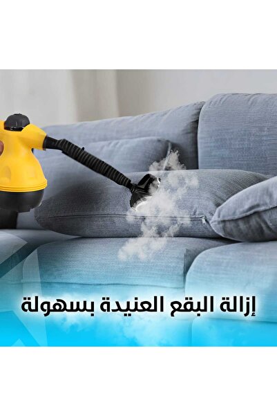 Denx Multi-purpose steam cleaner for cleaning and sterilization