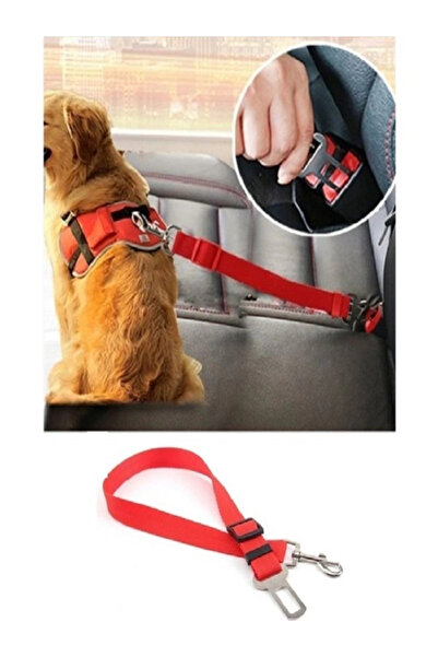 Biryirmi Evcil Hayvan Araç Emniyet Kemeri Kedi Köpek Araba Tasması Köpek Oto Aksesuarı Köpek Emniyet Kemeri