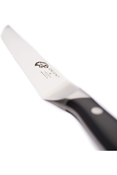 Orient Steak Knife Set, Origin Series, 4-Piece, German X50 Ultra + Stainless Steel, Black