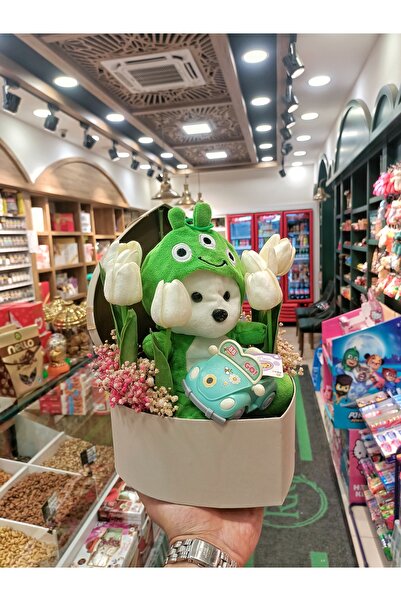 RKH Uzaylı Konsept Deluxe Hediye Kutusu: Peluş Ayıcık, Islak Lale, Cipso ve K...