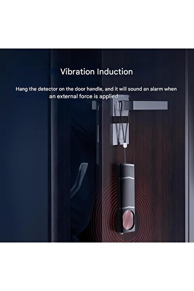 Diseleri Professional detector of hidden cameras, spy devices and devices