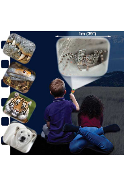 Brainstorm Flashlight projector - The most dangerous animals