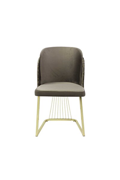 ARTA DOOR ILONA Chairs Brown, Gold Leg - Modern, HoReCa, Kitchen, Living Room, Office, Bedrooms, Hallways