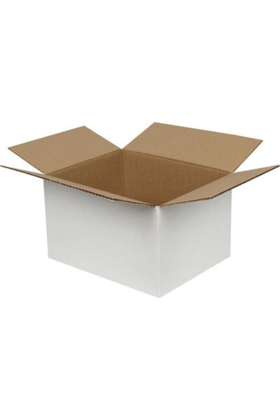 ofisturka 60x40x18cm Çift Oluklu Koli - Beyaz