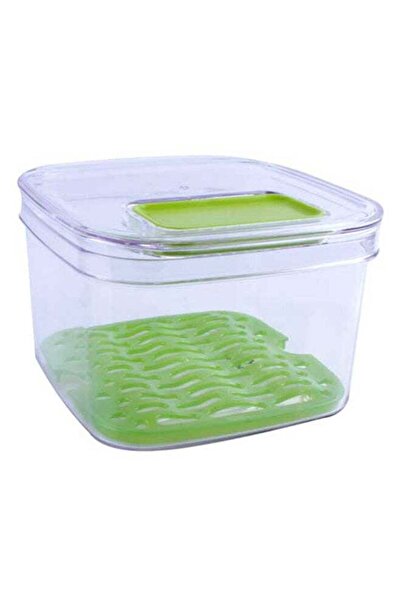 Felli Vegetable Storage Container Clear/Green 17.5x16x10.5cm