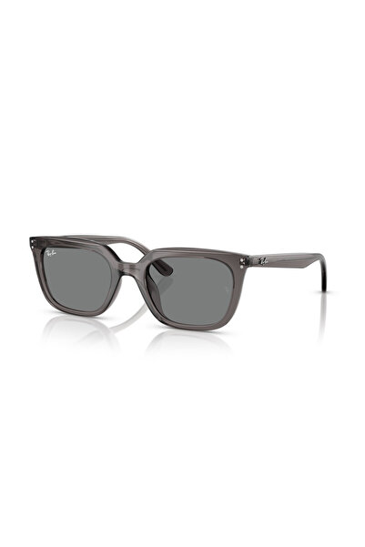 Ray-Ban Sunglasses Rb4439D 54 667587