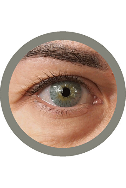 Urban Layer Gogh Gray Gray colored contact lenses, complete package with solution and case