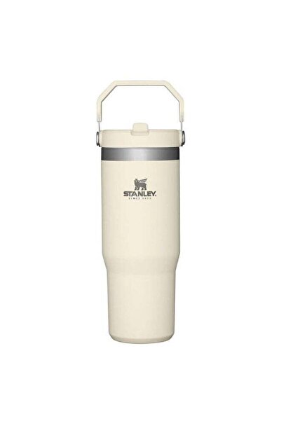 Generic Stanley STANLEY IceFlow 30oz Tumbler with Flip Straw â€šÃ„Ã¬ Cream Stainless Steel Vacuum Insulated