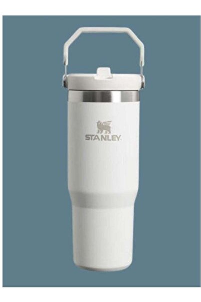 Generic Stanley IceFlow 30 oz Stainless Steel Tumbler with Leak-Resistant Flip Straw - Vacuum Insulated Wat