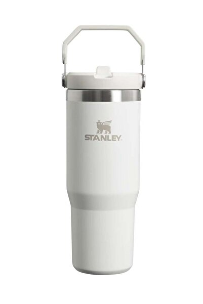 Generic Stanley Stanley IceFlow 30oz Stainless Steel Tumbler with Leak-Resistant Flip Straw - Vacuum Insula