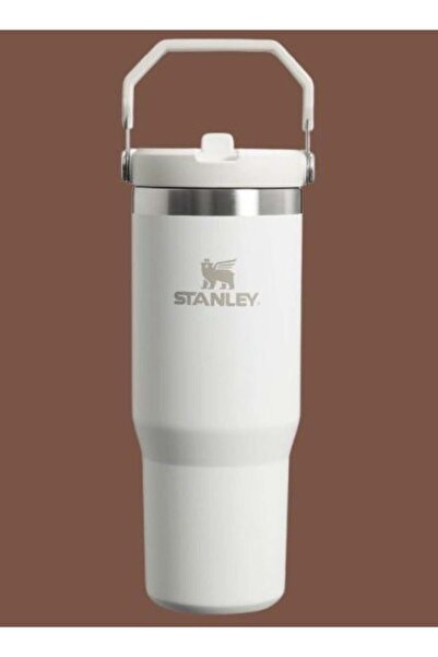 Generic Stanley Stanley IceFlow 0.88L Stainless Steel Water Bottle with Flip Straw â€šÃ„Ã¬ Keeps Drinks Col
