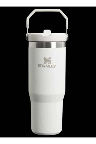 Generic Stanley IceFlow Flip Straw Water Bottle 0.88L â€“ Stainless Steel, Leakproof, Keeps Drinks Cold for