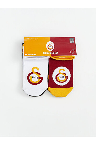 LC Waikiki Create Your Style with Uzg Store |   Patterned Boys' Booties Socks, Pack of 5