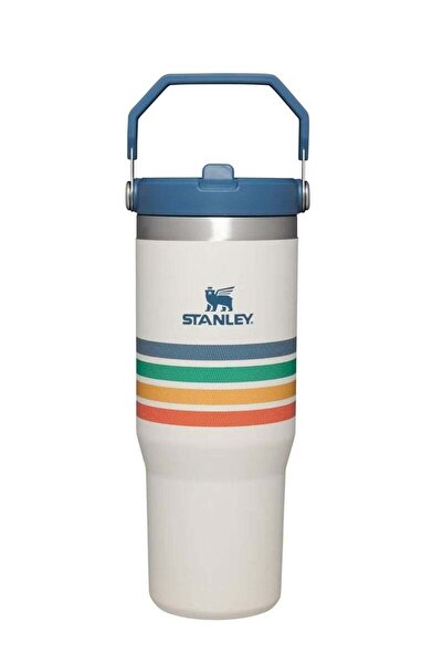 Generic Stanley Stanley IceFlow 30oz Stainless Steel Tumbler with Leak-Resistant Flip Straw - Vacuum Insula