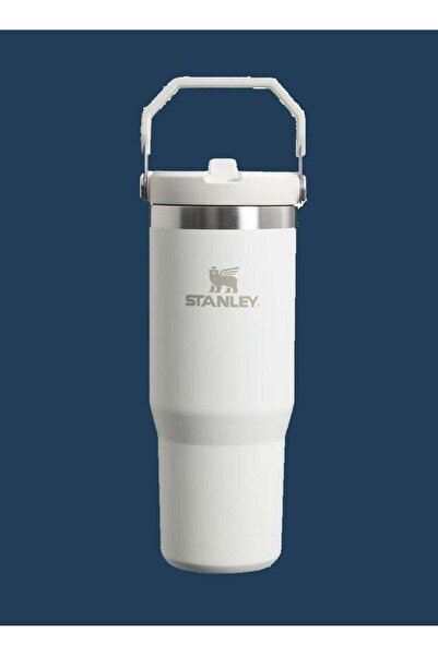 Generic Stanley IceFlow 30oz Stainless Steel Tumbler with Leak-Resistant Flip Straw â€“ Vacuum Insulated Wa