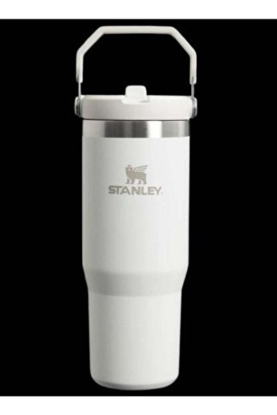 Generic Stanley IceFlow Flip Straw Water Bottle 0.88L â€“ Stainless Steel, Leakproof, Keeps Drinks Cold for