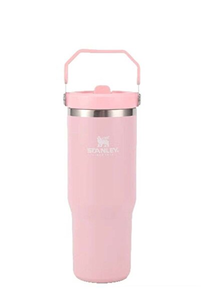 Generic Stanley Stanley 30oz Stainless Steel Vacuum Insulated Tumbler with Leak-Resistant Flip Lid & Reusab