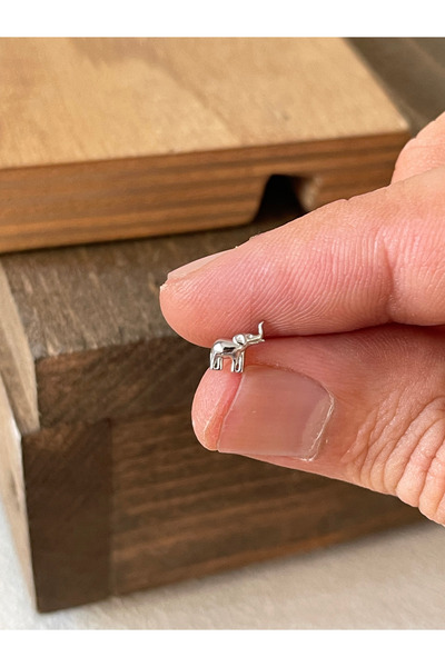 Rupen Kraft 925 Ayar Gümüş Fil Tragus Kıkırdak Helix Piercingi Gümüş Piercing