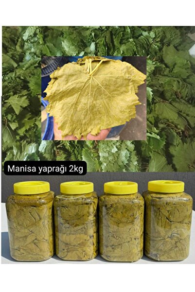 bagisan Salamura asma bağ yaprağı ince 3'lük bidon 1 adet net 2 kg