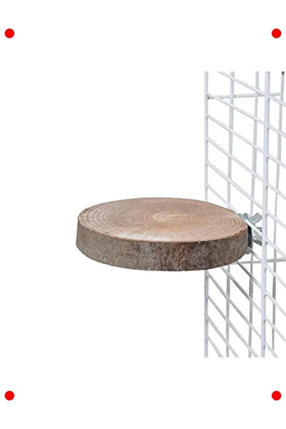 NETWORK ART Natural Wooden Bird Perch Round Model Log Perch