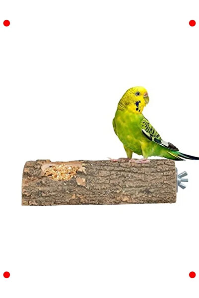 NETWORK ART Natural Wood Bird Perch and Feeder - 15 cm